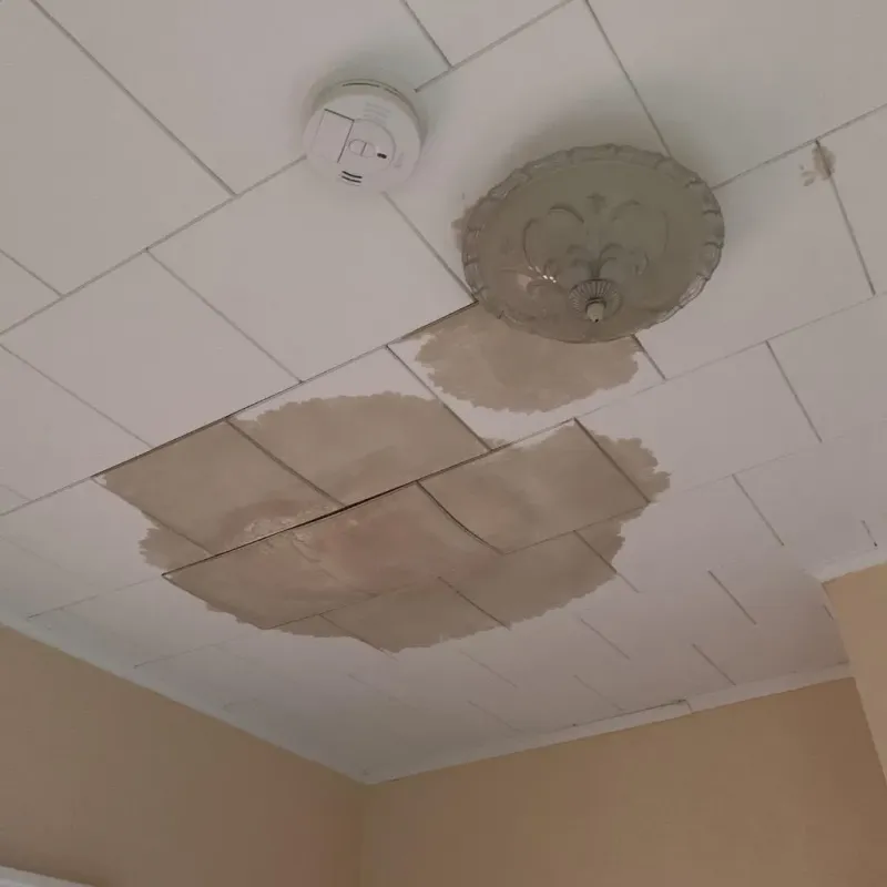 Ceiling Water Damage Repair in Bayou Vista, LA
