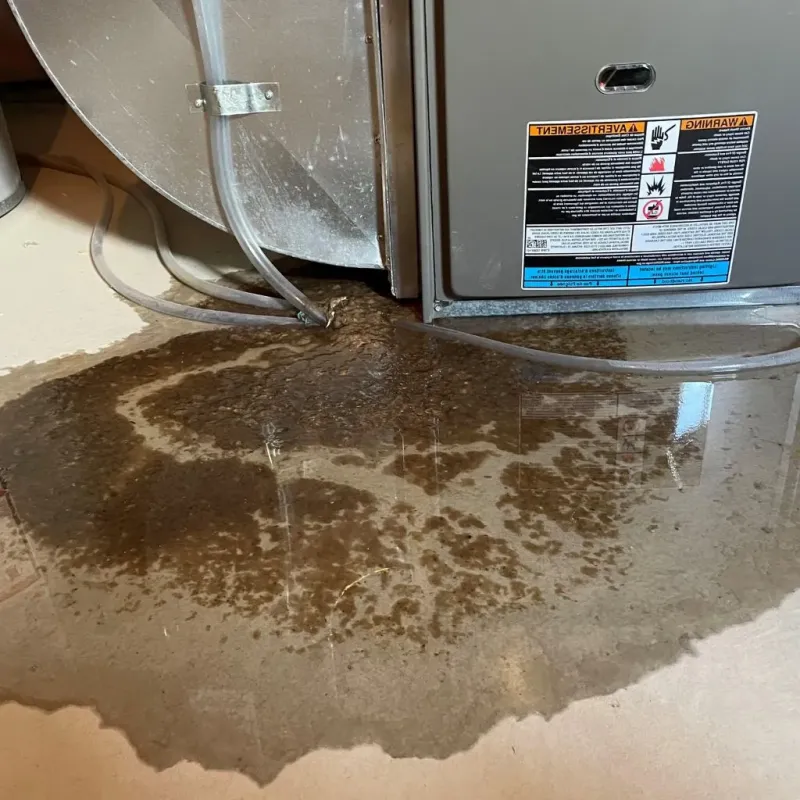 Pipe Burst and Leak Restoration in Bayou Vista, LA